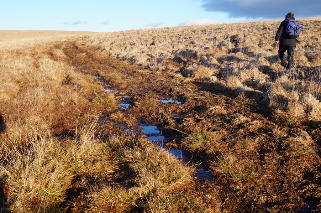 A walker next to an eroded path