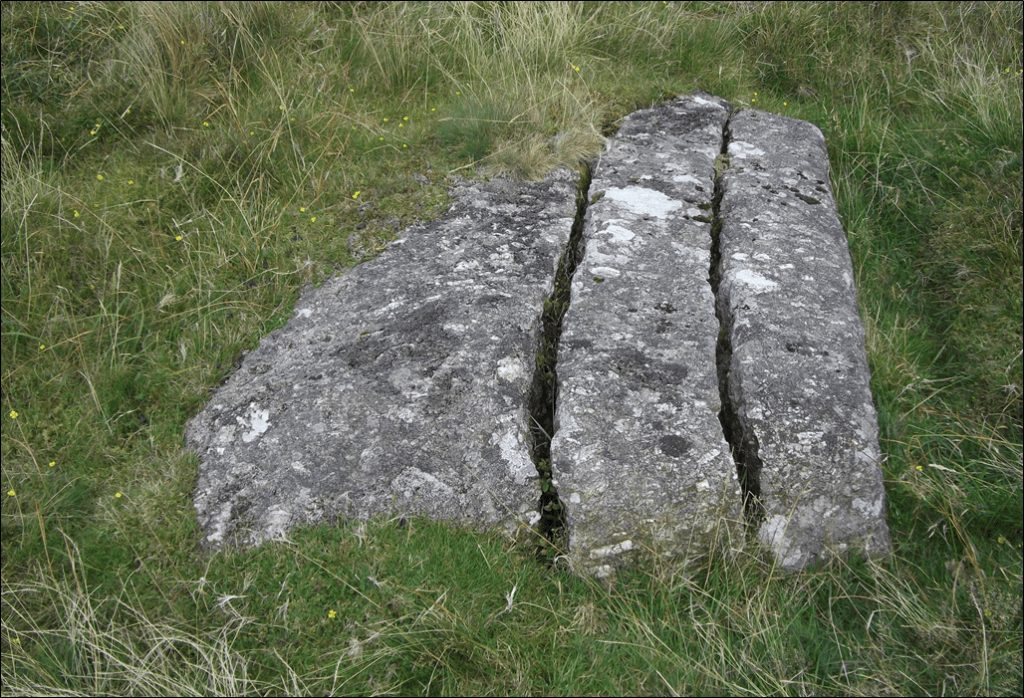 A large granite boulder, surrounded by grass and tormentil, cut across in to deep straight lines