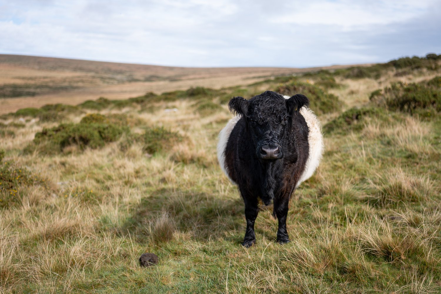 JimW-Harford Moor-008.jpeg