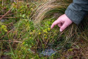 JimW-Harford Moor-063.jpeg