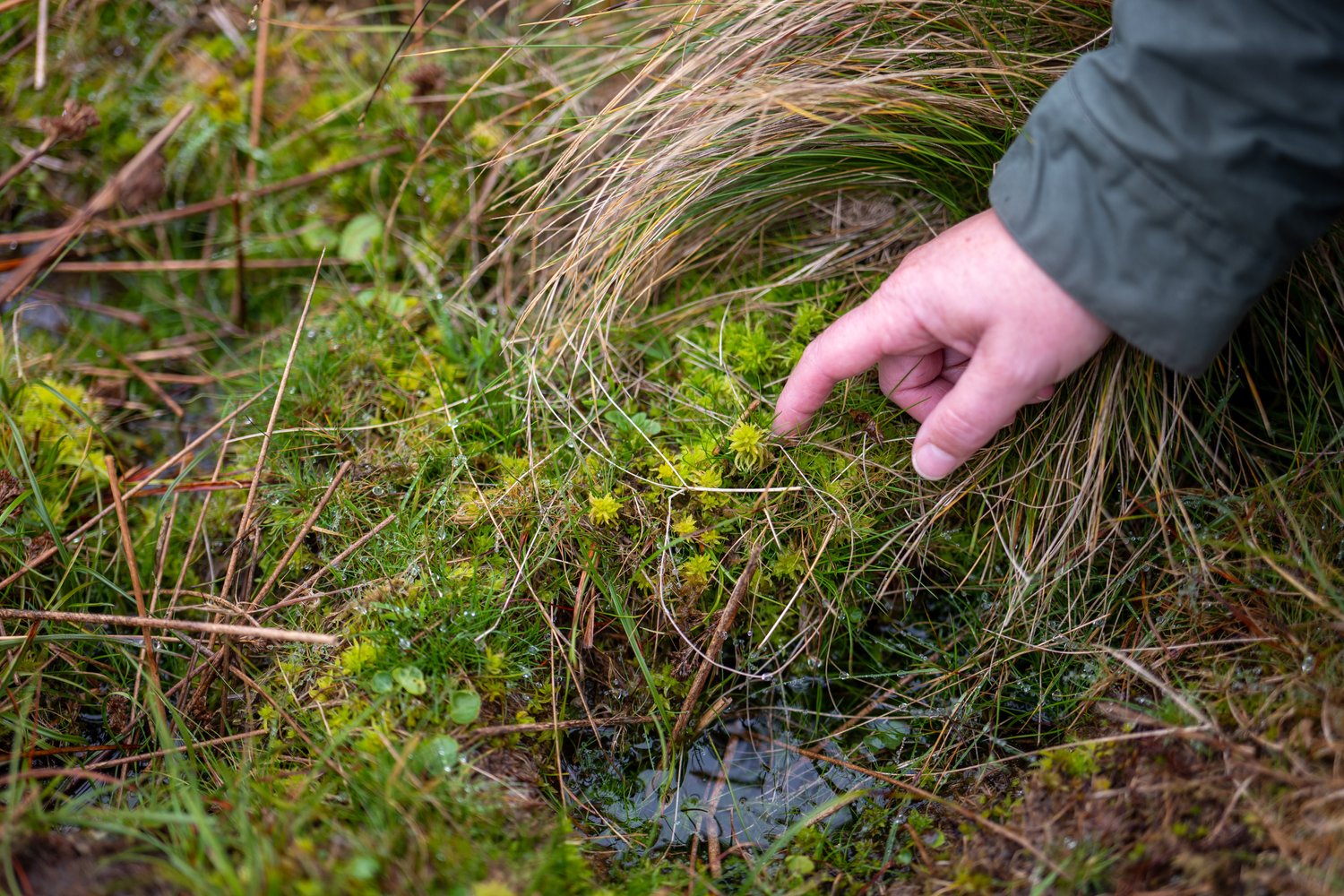 JimW-Harford Moor-063.jpeg