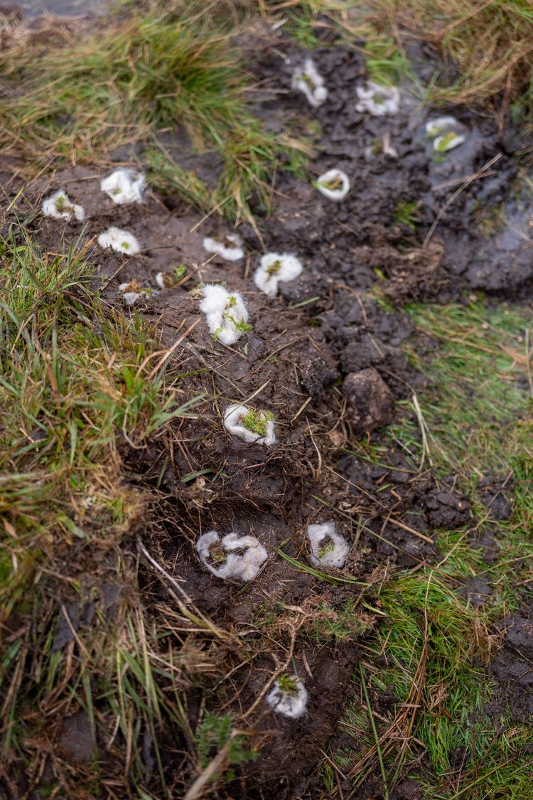 JimW-Harford Moor-026.jpeg