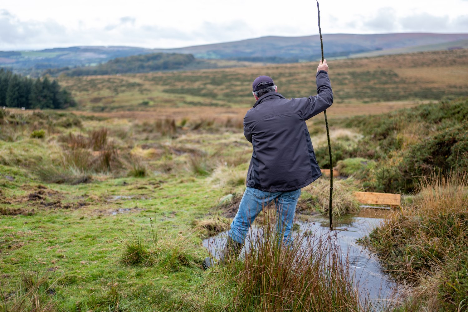 Photo by Jim Wileman